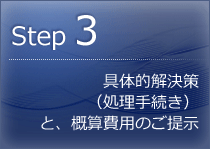 具体的解決策（処理手続き）と概算費用のご提示